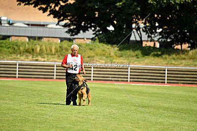 Milan Tringensteiner Schelderwald