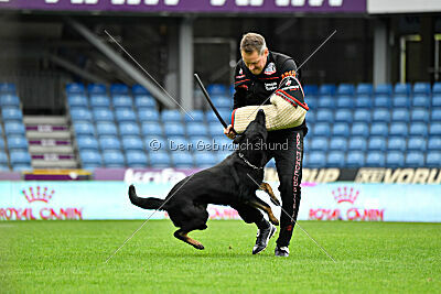 Milly aus der Königshöhle
