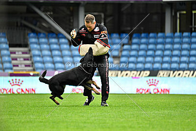 Milly aus der Königshöhle