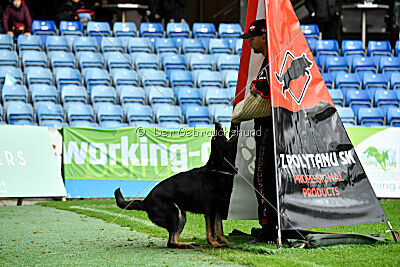 Milly aus der Königshöhle