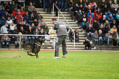 Miro von der alten Schmiede