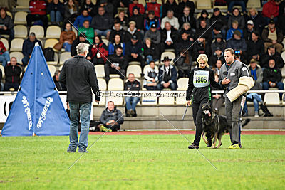 Miro von der alten Schmiede