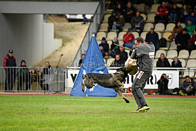 Miro von der alten Schmiede