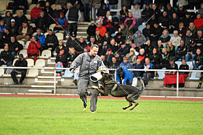 Miro von der alten Schmiede