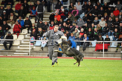 Miro von der alten Schmiede