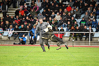 Miro von der alten Schmiede