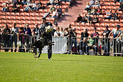 Miro von der alten Schmiede