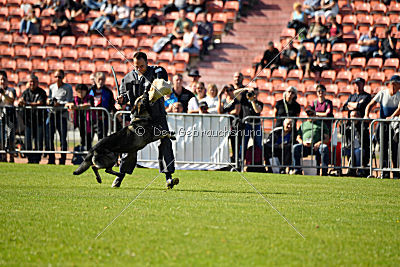 Miro von der alten Schmiede