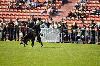 Miro von der alten Schmiede