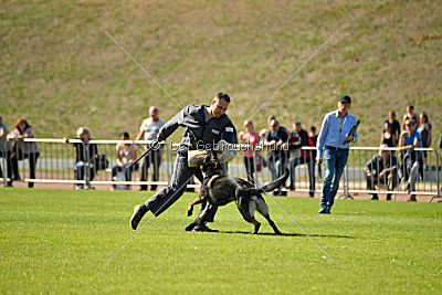 Miro von der alten Schmiede