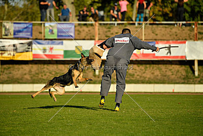 Molly vom Kretzschauer Land