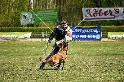 MonAmie Phoebe von den brennenden Herzen