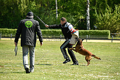 MonAmie Phoebe von den brennenden Herzen
