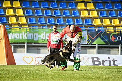 Moorschloss Farell-Wieratal