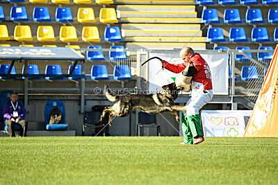 Moorschloss Farell-Wieratal