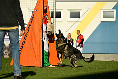 Moorschloss Farell-Wieratal