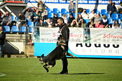 Moorschloss Farell-Wieratal