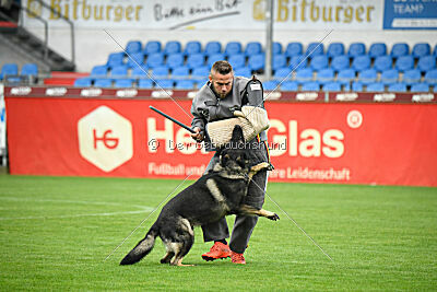 Moorschloss Farell-Wieratal