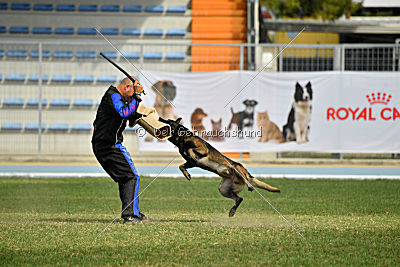 Musca van de Duvetorre