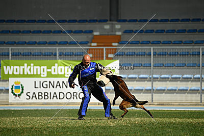 My's Lya Elliot av Eske