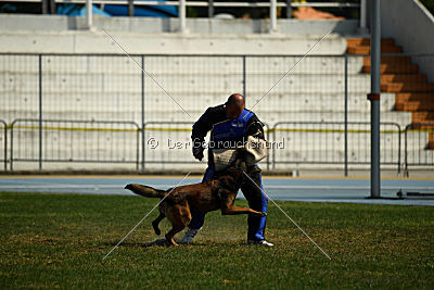 My's Lya Elliot av Eske