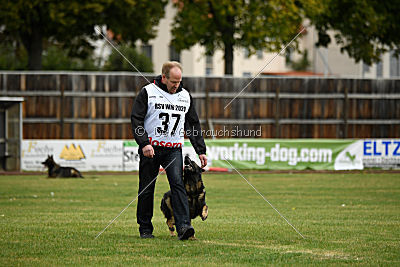 Naida vom Waisagrund