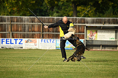 Naida vom Waisagrund