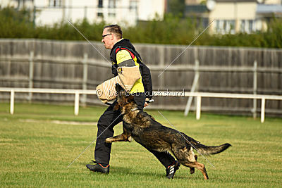 Naida vom Waisagrund