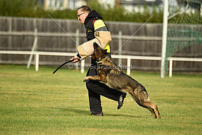 Naida vom Waisagrund