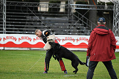 Napoleon ze Zelene uzlabiny