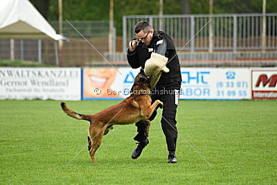 Nash vom schnellen Fahnder