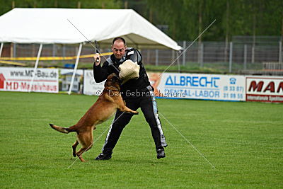 Nash vom schnellen Fahnder