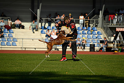 Nash von der Isenburg