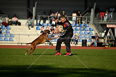 Nash von der Isenburg