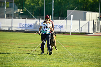 Nasty Rick Rude du Poilu