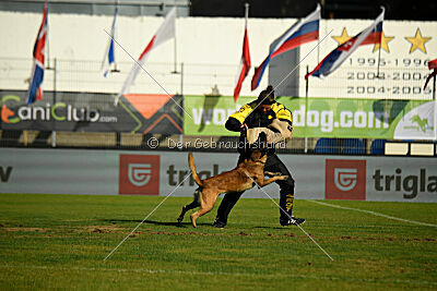 Nati's Empower Nyles