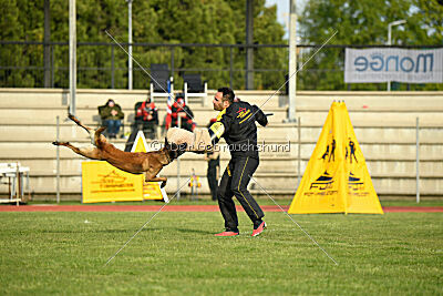 Nati's Empower Nyles