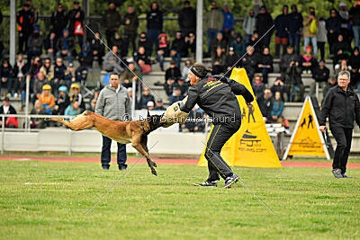 Nati's Empower Nyles