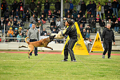 Nati's Empower Nyles