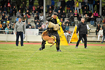 Nati's Empower Nyles