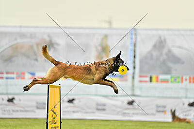 Nati's Empower Nyles