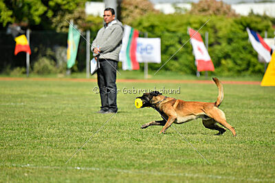 Nati's Empower Nyles