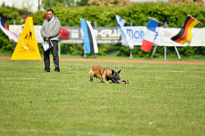 Nati's Empower Nyles