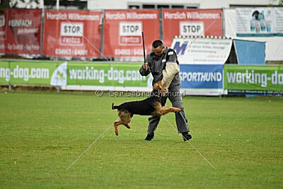 Nato von der Heinrichsburg