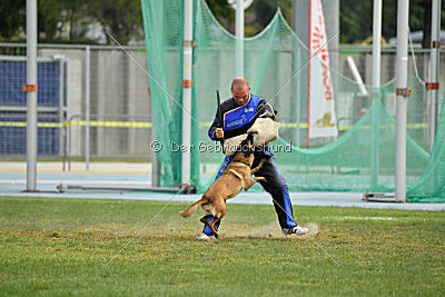 Neli Running Wild
