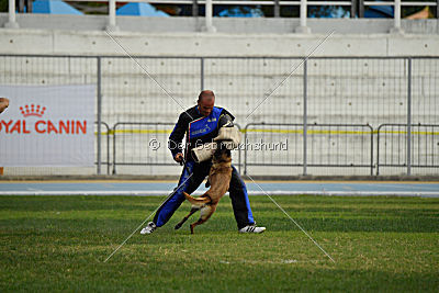 Neli Running Wild