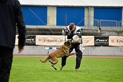 Neli Running Wild