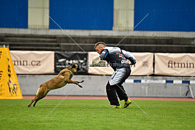 Neli Running Wild