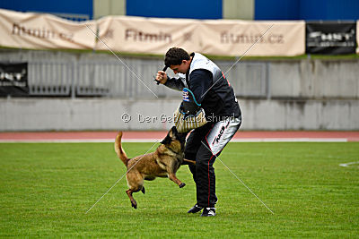Neli Running Wild