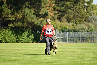 Neli Running Wild